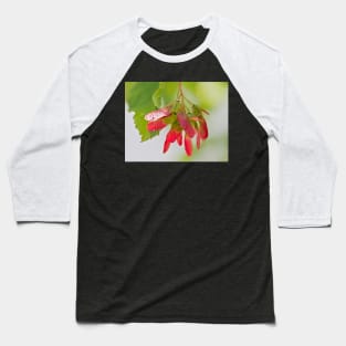 Red Seeds of Maple Tree Baseball T-Shirt